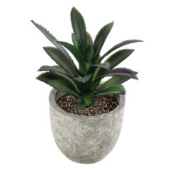 Alternative view of GloboStar® Artificial Garden SUCCULENT ALOE 21011 Διακοσμητικό Φυτό Παχύφυτο Αλόη Υ13cm