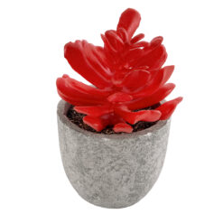 Alternative view of GloboStar® Artificial Garden SUCCULENT CRASSULA 21013 Διακοσμητικό Φυτό Παχύφυτο Κράσουλα Υ11.5cm