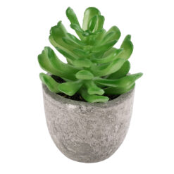 Alternative view of GloboStar® Artificial Garden SUCCULENT CRASSULA 21014 Διακοσμητικό Φυτό Παχύφυτο Κράσουλα Υ11.5cm