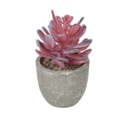 Alternative view of GloboStar® Artificial Garden SUCCULENT CRASSULA POTTED PLANT 21015 Διακοσμητικό Φυτό Κρασούλα  Φ7 x Υ11,5cm