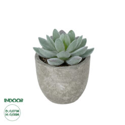 GloboStar® Artificial Garden SUCCULENT SEDEVERIA POTTED PLANT 21016 Διακοσμητικό Φυτό Σεδεβέρια Φ7 x Υ8cm