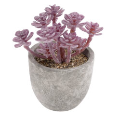 Alternative view of GloboStar® Artificial Garden SUCCULENT SEDUM 21017 Διακοσμητικό Φυτό Παχύφυτο Σέδο Υ10cm