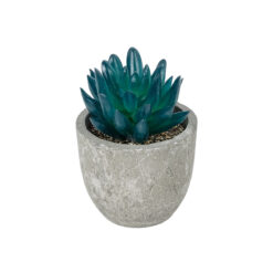 Alternative view of GloboStar® Artificial Garden SUCCULENT SEDEVERIA POTTED PLANT 21018 Διακοσμητικό Φυτό Σεδεβέρια  Φ6,5 x Υ9cm