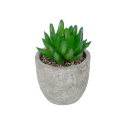 Alternative view of GloboStar® Artificial Garden SUCCULENT SEDEVERIA POTTED PLANT 21019 Διακοσμητικό Φυτό Σεδεβέρια  Φ6,5 x Υ9cm