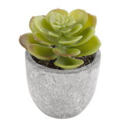 Alternative view of GloboStar® Artificial Garden SUCCULENT SEDEVERIA 21021 Διακοσμητικό Φυτό Παχύφυτο Σεντεβέρια Υ8.5cm