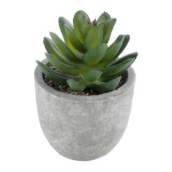Alternative view of GloboStar® Artificial Garden SUCCULENT SEDEVERIA 21023 Διακοσμητικό Φυτό Παχύφυτο Σεντεβέρια Υ10cm