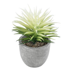 Alternative view of GloboStar® Artificial Garden SUCCULENT SENECIO 21024 Διακοσμητικό Φυτό Παχύφυτο Σενέκιο Υ12cm