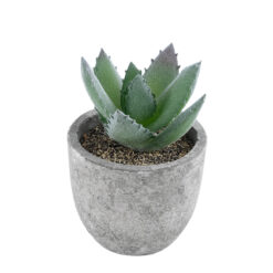 Alternative view of GloboStar® Artificial Garden SUCCULENT ALOE 21026 Διακοσμητικό Φυτό Παχύφυτο Αλόη Υ10.5cm