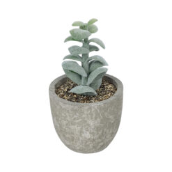 Alternative view of GloboStar® Artificial Garden SUCCULENT SEDEVERIA POTTED PLANT 21027 Διακοσμητικό Φυτό Σεδεβέρια  Φ5 x Υ11cm