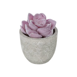 Alternative view of GloboStar® Artificial Garden SUCCULENT SEDEVERIA POTTED PLANT 21028 Διακοσμητικό Φυτό Σεδεβέρια  Φ5x Υ11cm