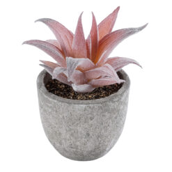 Alternative view of GloboStar® Artificial Garden SUCCULENT ALOE 21032 Διακοσμητικό Φυτό Παχύφυτο Αλόη Υ11cm