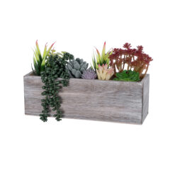 Alternative view of GloboStar® Artificial Garden SUCCULENT VARIUS PLANT POTTED 21033 Διακοσμητικό Φυτό Μίξ Μ29 x Π10 x Υ18cm