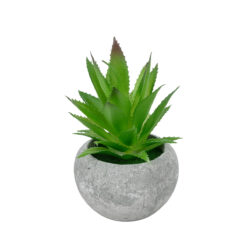 Alternative view of GloboStar® Artificial Garden SUCCULENT ALOE POTTED PLANT 21037 Διακοσμητικό Φυτό Αλόη Φ10 x Υ15cm