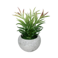 Alternative view of GloboStar® Artificial Garden SUCCULENT CRASSULA POTTED PLANT 21038 Διακοσμητικό Φυτό Κρασούλα  Φ10 x Υ17cm