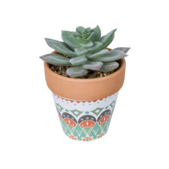 Alternative view of GloboStar® Artificial Garden SUCCULENT SEDEVERIA POTTED PLANT 21041 Διακοσμητικό Φυτό Σεδεβέρια  Φ11x Υ14cm