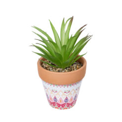Alternative view of GloboStar® Artificial Garden AIR PLANT NEOPHYTUM POTTED PLANT 21043 Διακοσμητικό Φυτό Νεόφυτο Φ12 x Υ15cm