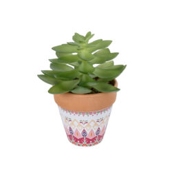 Alternative view of GloboStar® Artificial Garden SUCCULENT ECHEVERIA POTTED PLANT 21048 Διακοσμητικό Φυτό Εχεβέρια Φ13 x Υ18cm