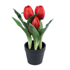 Alternative view of GloboStar® Artificial Garden RED TULIP 21094 Διακοσμητικό Φυτό Κόκκινη Τουλίπα Υ23cm