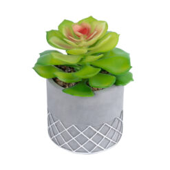 Alternative view of GloboStar® Artificial Garden SUCCULENT SEDEVERIA 21095 Διακοσμητικό Φυτό Παχύφυτο Σεντεβέρια Υ17cm