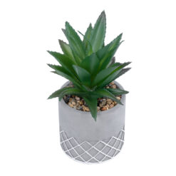 Alternative view of GloboStar® Artificial Garden SUCCULENT ALOE 21096 Διακοσμητικό Φυτό Παχύφυτο Αλόη Υ17cm