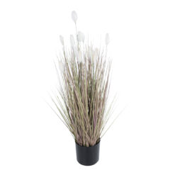 Alternative view of GloboStar® Artificial Garden BEIGE LAGURU 21100 Διακοσμητικό Φυτό Μπεζ Λαγοουρά Υ70cm