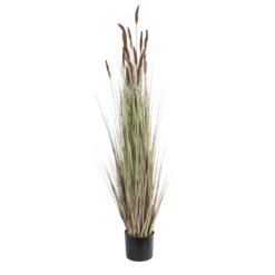 Alternative view of GloboStar® Artificial Garden BROWN LAGURUS 21101 Διακοσμητικό Φυτό Καφέ Λαγοουρά Υ140cm