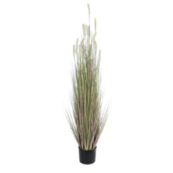 Alternative view of GloboStar® Artificial Garden BEIGE LAGURUS 21102 Διακοσμητικό Φυτό Μπεζ Λαγοουρά Υ140cm