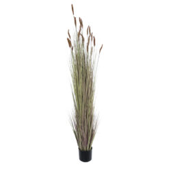 Alternative view of GloboStar® Artificial Garden BROWN LAGURUS 21103 Διακοσμητικό Φυτό Καφέ Λαγοουρά Υ180cm
