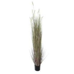 Alternative view of GloboStar® Artificial Garden BEIGE LAGURUS 21104 Διακοσμητικό Φυτό Μπεζ Λαγοουρά Υ180cm