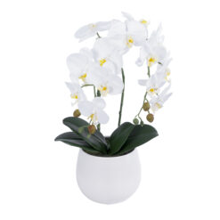 Alternative view of GloboStar® Artificial Garden WHITE ORCHID 21117 Διακοσμητικό Φυτό Λευκή Ορχιδέα Υ45cm