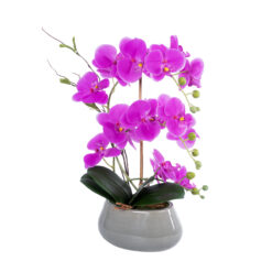 Alternative view of GloboStar® Artificial Garden HOT PINK ORCHID 21119 Διακοσμητικό Φυτό  Έντονο Ροζ Ορχιδέα Υ43cm