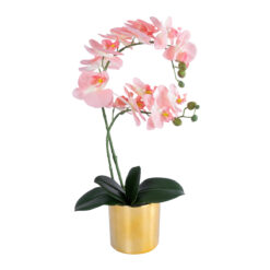 Alternative view of GloboStar® Artificial Garden SALMON PINK ORCHID 21129 Διακοσμητικό Φυτό Φούξια Ορχιδέα Υ43cm