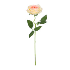 Alternative view of GloboStar® Artificial Garden CHAMPAGNE ROSE BRANCH 21141 Τεχνητό Διακοσμητικό Κλαδί Σαμπανιζέ Τριαντάφυλλο Y50cm