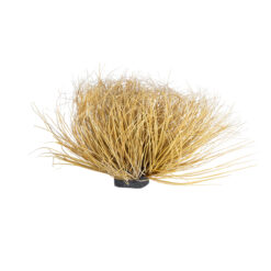 Alternative view of GloboStar® Artificial Garden GRASS BUSH PLANT 21165 Τεχνητό Διακοσμητικό Φυτό Θάμνος Grass Π50cm Y30cm