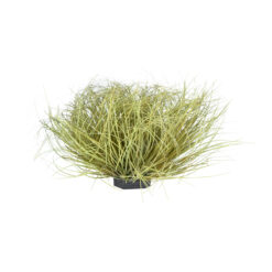 Alternative view of GloboStar® Artificial Garden GRASS BUSH PLANT 21166 Τεχνητό Διακοσμητικό Φυτό Θάμνος Grass Π50cm Y30cm