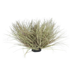 Alternative view of GloboStar® Artificial Garden GRASS BUSH PLANT 21167 Τεχνητό Διακοσμητικό Φυτό Θάμνος Grass Π50cm Y30cm