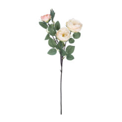 Alternative view of GloboStar® Artificial Garden CHAMPAGNE CLIMBING ROSE BRANCH 21183 Τεχνητό Διακοσμητικό Κλαδί Τριαντάφυλλο Σαμπανιζέ Y70cm