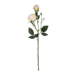 Alternative view of GloboStar® Artificial Garden CHAMPAGNE DAMASK CLIMBING ROSE BRANCH 21198 Τεχνητό Διακοσμητικό Κλαδί Τριαντάφυλλο Σαμπανιζέ Y55cm