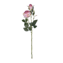 Alternative view of GloboStar® Artificial Garden PINK DAMASK CLIMBING ROSE BRANCH 21199 Τεχνητό Διακοσμητικό Κλαδί Τριαντάφυλλο Σαμπανιζέ Y55cm
