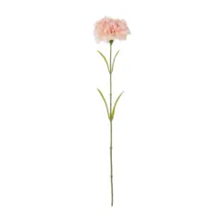 Alternative view of GloboStar® Artificial Garden PALE PING CARNATION BRANCH 21208 Τεχνητό Διακοσμητικό Κλαδί Γαρίφαλο Απαλό Ρόζ Y60cm