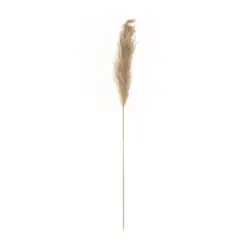 Alternative view of GloboStar® Artificial Garden PAMPAS GRASS 21217 Αποξηραμένο Διακοσμητικό Γρασίδι Πάμπας Μ10 x Π10 x Υ150cm