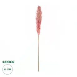 GloboStar® Artificial Garden PAMPAS GRASS 21218 Αποξηραμένο Διακοσμητικό Γρασίδι Πάμπας Μ10 x Π10 x Υ150cm