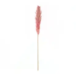 Alternative view of GloboStar® Artificial Garden PAMPAS GRASS 21218 Αποξηραμένο Διακοσμητικό Γρασίδι Πάμπας Μ10 x Π10 x Υ150cm