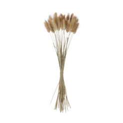 Alternative view of GloboStar® Artificial Garden REAL DRIED BEIGE WHEAT BUNCH  21219 Αποξηραμένο Διακοσμητικό Μπουκέτο Σιταριού Y50cm - Σετ 30 τμχ