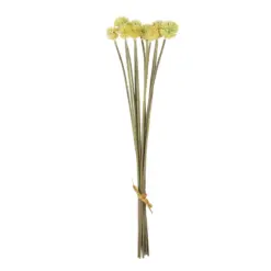 Alternative view of GloboStar® Artificial Garden PALE YELLOW DANDELION BOUQET 21363 Τεχνητό Διακοσμητικό Ταραξάκο Μπουκέτο Y54cm