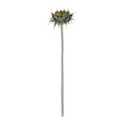 Alternative view of GloboStar® Artificial Garden GREEN SUNFLOWER BRANCH 21378 Τεχνητό Διακοσμητικό Κλαδί Ηλιοτρόπιο Πράσινο Y60cm