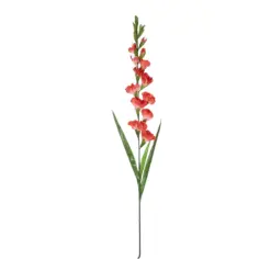 Alternative view of GloboStar® Artificial Garden RED GLADIOLUS FLOWER BRANCH 21396 Τεχνητό Διακοσμητικό Κλαδί Γλαδιόλα Y116cm