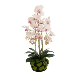 Alternative view of GloboStar® Artificial Garden BUTTERFLY ORCHID BONSAI 21400 Τεχνητό Διακοσμητικό Φυτό Ορχιδέα Μ34 x Π27 x Υ65cm