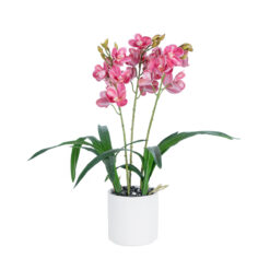 Alternative view of GloboStar® Artificial Garden PINK CHERRY CYMBIDIUM 21402 Διακοσμητικό Φυτό Φούξια Κυμβίδιο Υ60cm