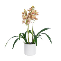 Alternative view of GloboStar® Artificial Garden CHAMPAGNE CHERRY CYMBIDIUM 21404 Διακοσμητικό Φυτό Σαμπανιζέ Κυμβίδιο Υ60cm